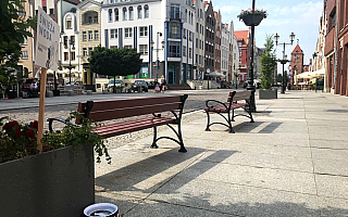 Na ulicach Elbląga stanęły miski z wodą dla zwierząt Na ulicach Elbląga stanęły miski z wodą dla zwierząt